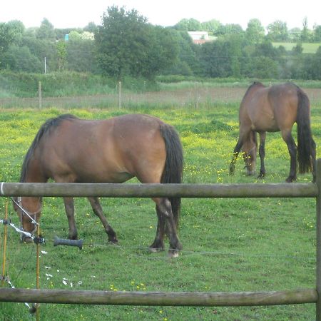 Les Croisettes Bed & Breakfast Le Pin  Luaran gambar