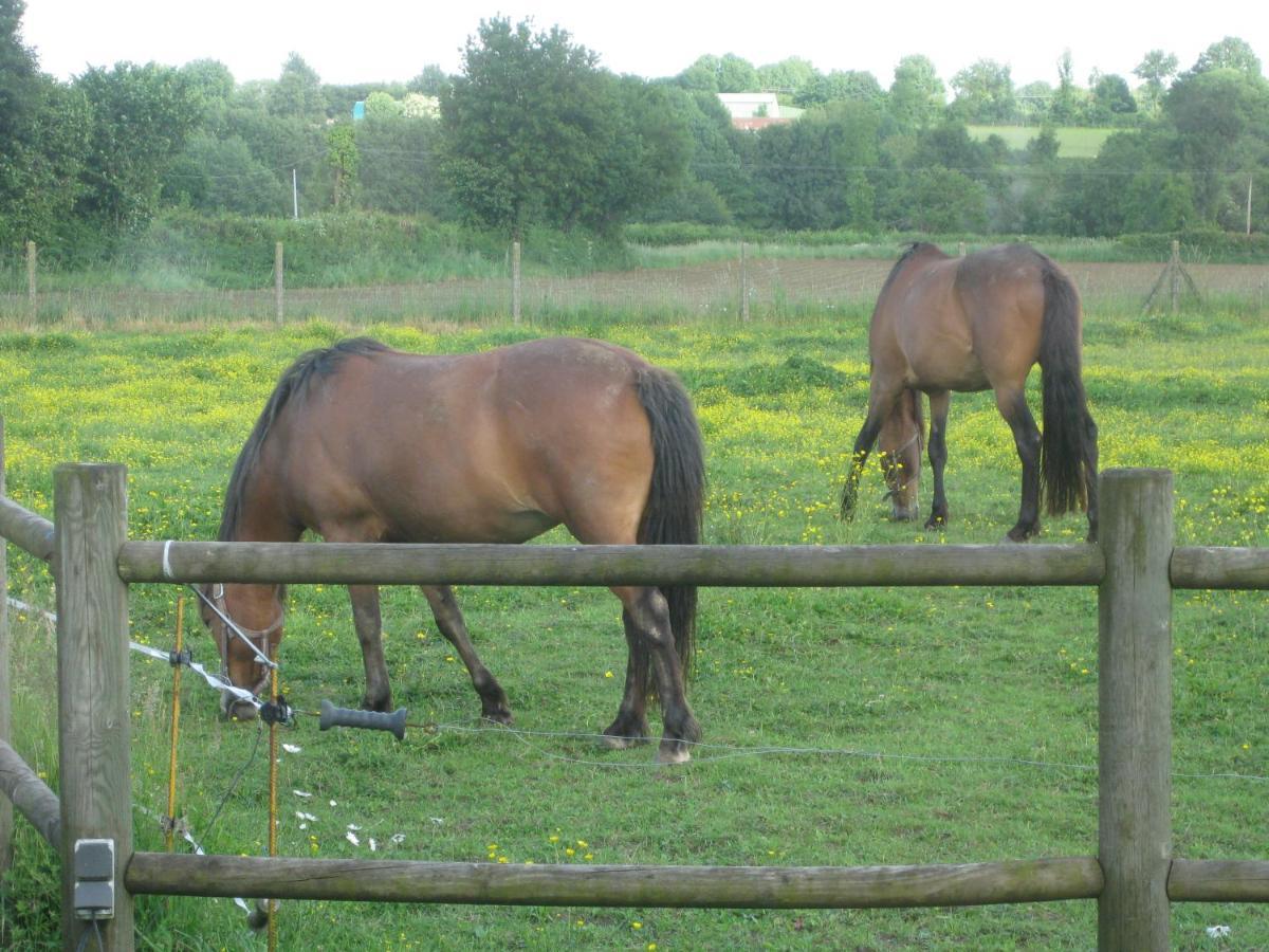 Les Croisettes Bed & Breakfast Le Pin  Luaran gambar